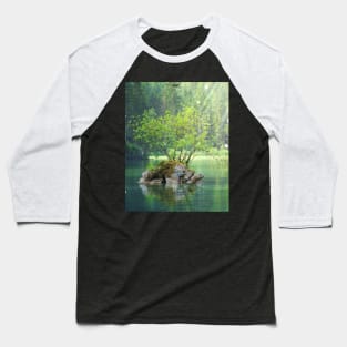 Lake turtle Baseball T-Shirt